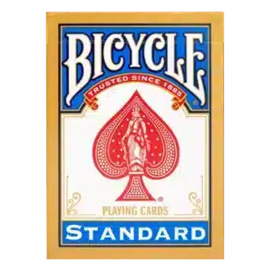 Bicycle Rider Back Standard Bleu