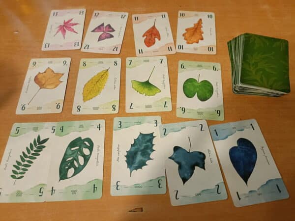13 feuilles – Image 2